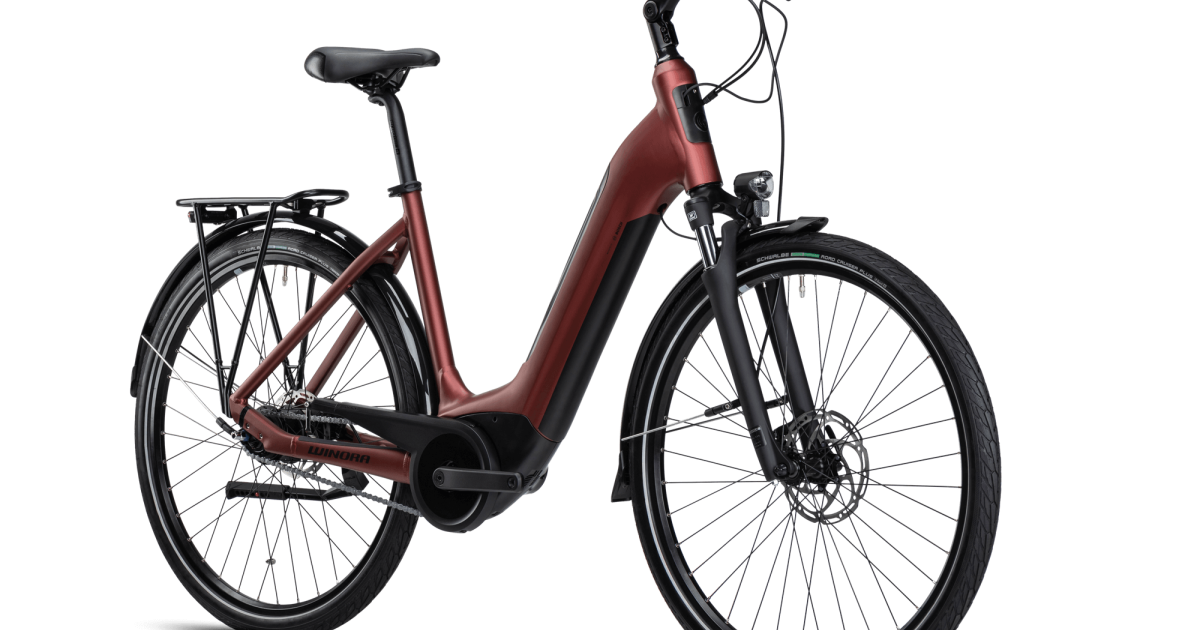 Velo Electrique De Ville Pour Femme Winora Tria N8f Eco Mono