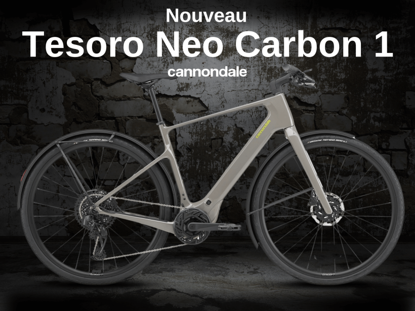 image du vélo électrique TESORO NEO CARBON 1